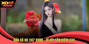 Bắn cá H5 247 XO88