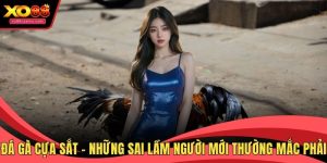 Đá gà cựa sắt