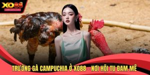 Trường gà Campuchia